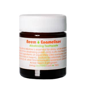 Neem Enamelizer Alkalinizing Toothpaste (Zahnpasta) - Living Libations